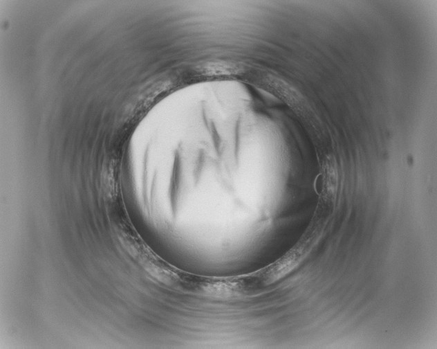 X0000052550422200507221456