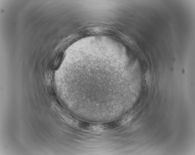 X0000052550423200507221456