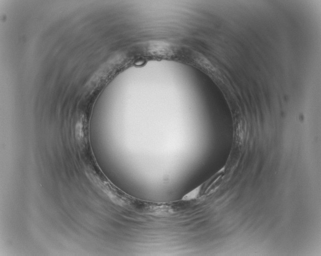 X0000052550424200507221456