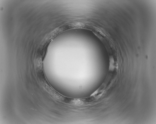 X0000052550425200507221456