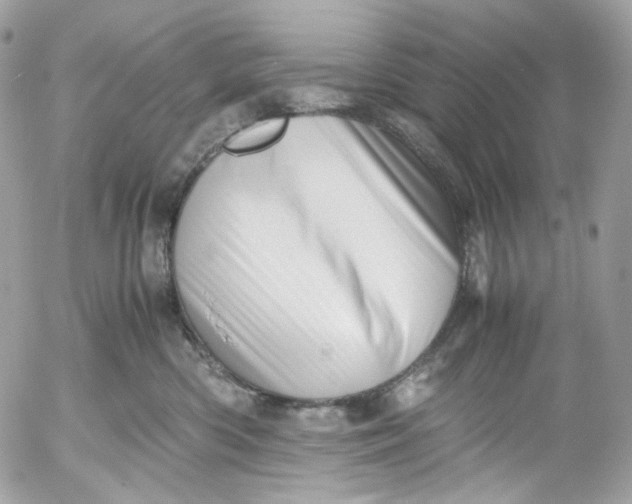 X0000052550426200507221456