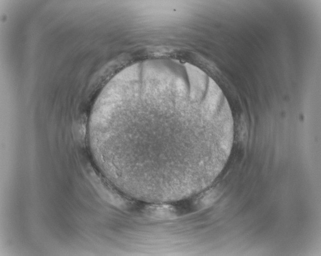 X0000052550427200507221455