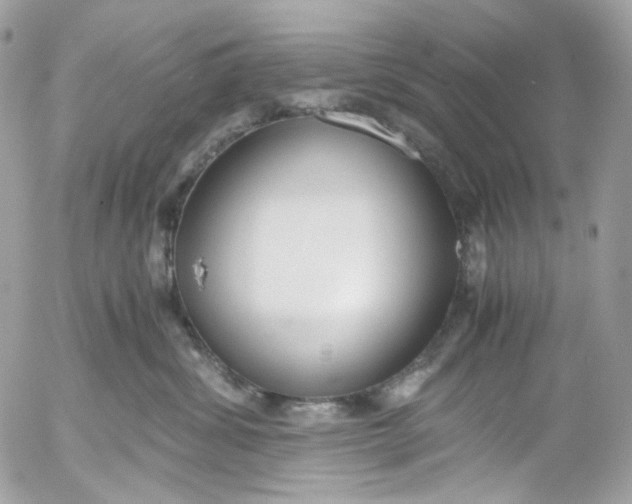 X0000052550428200507221455