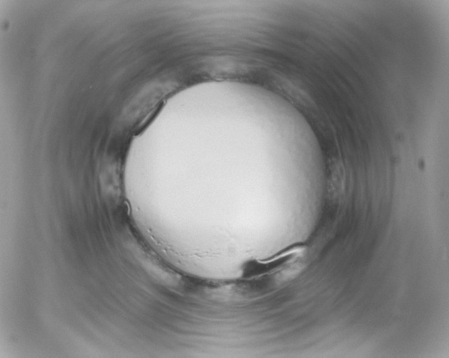 X0000052550430200507221455