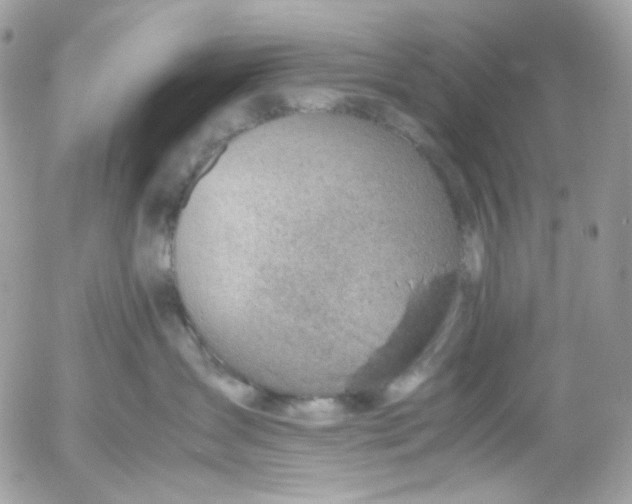 X0000052550431200507221455