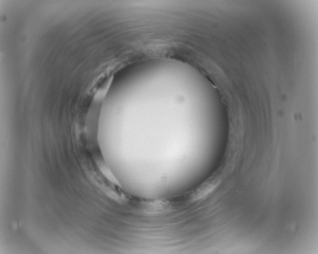 X0000052550432200507221455