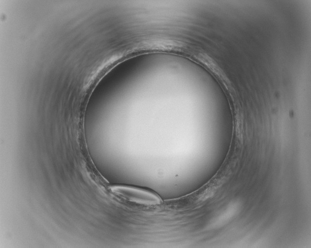 X0000052550434200507221455