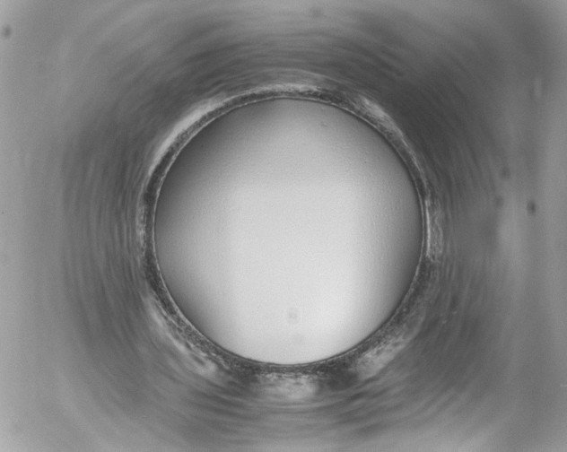 X0000052550435200507221455