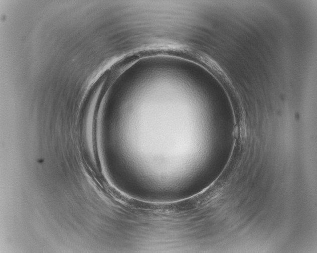 X0000052550436200507221455