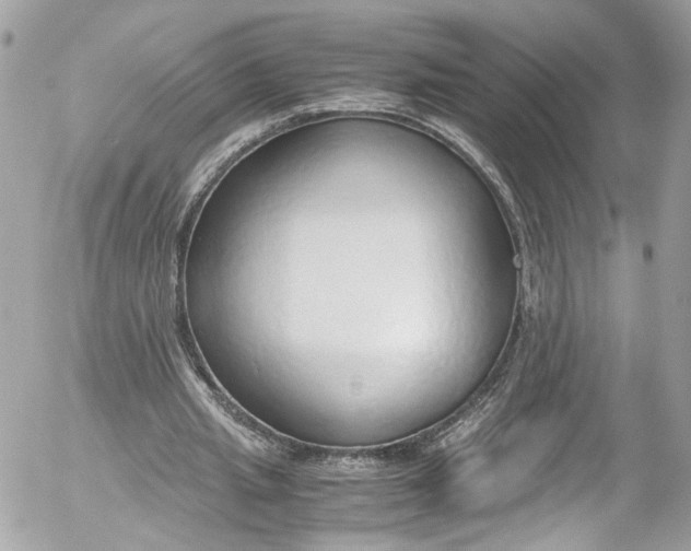 X0000052550437200507221455