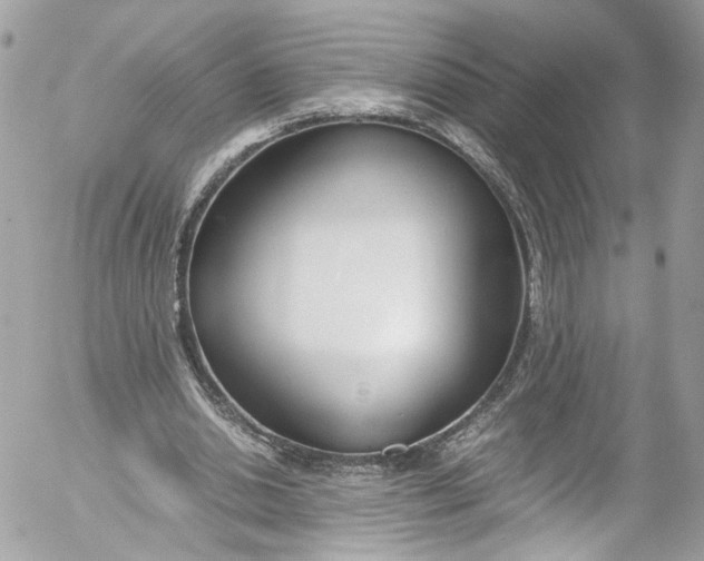 X0000052550438200507221455