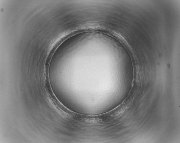 X0000052550439200507221455