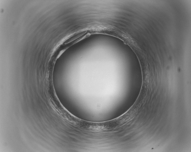 X0000052550440200507221455