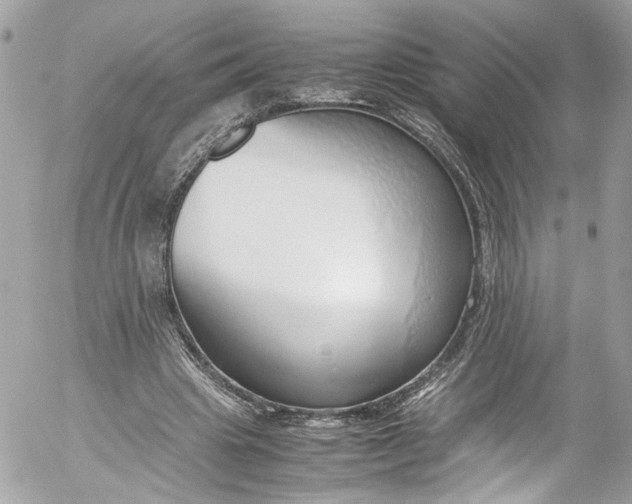 X0000052550441200507221455