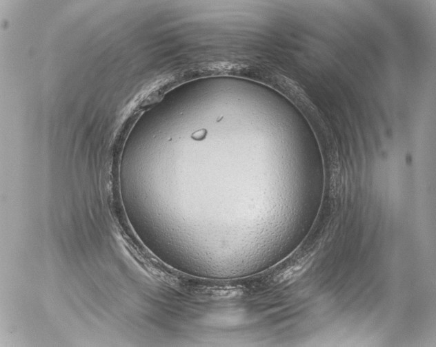 X0000052550443200507221455