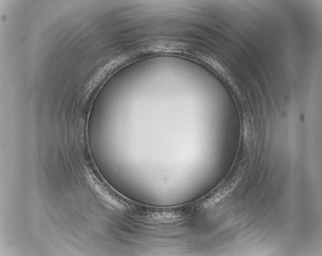 X0000052550445200507221455