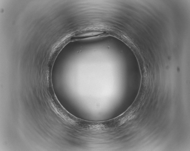 X0000052550446200507221455