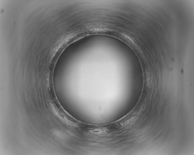 X0000052550447200507221455