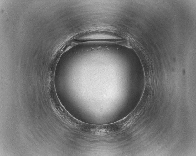 X0000052550448200507221455