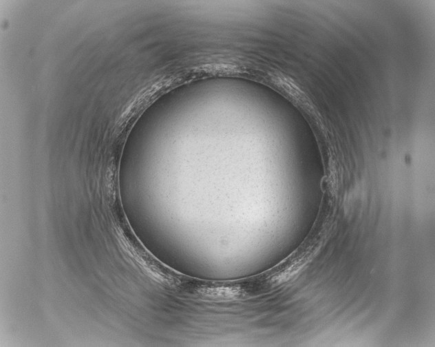 X0000052550449200507221455