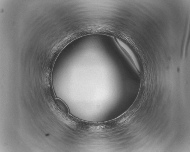 X0000052550450200507221455