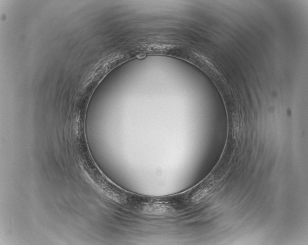 X0000052550451200507221455