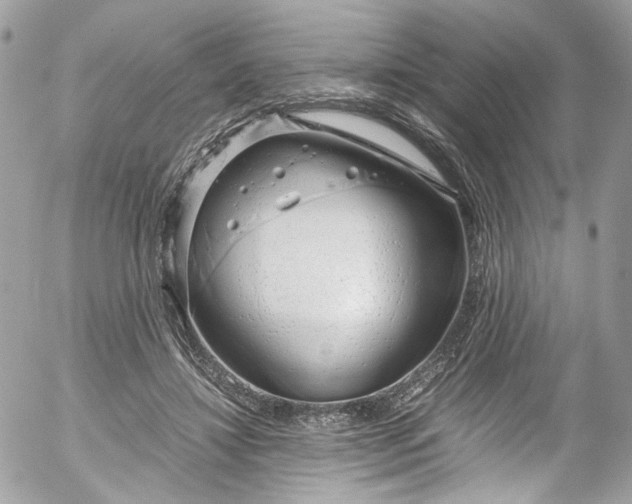 X0000052550452200507221455