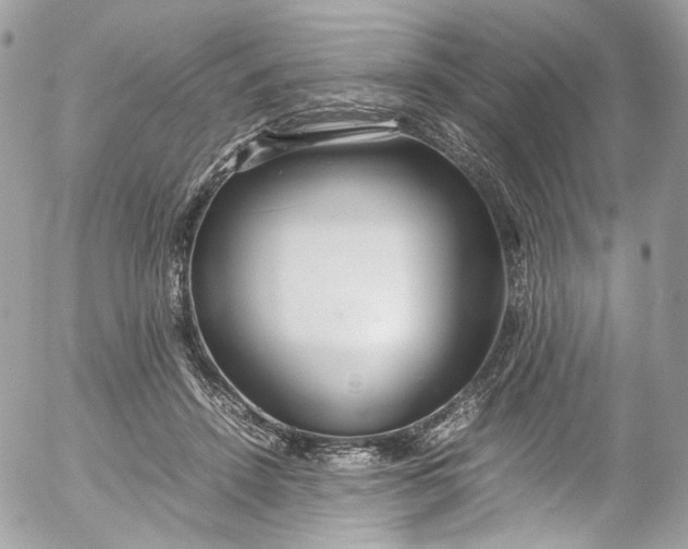 X0000052550456200507221455