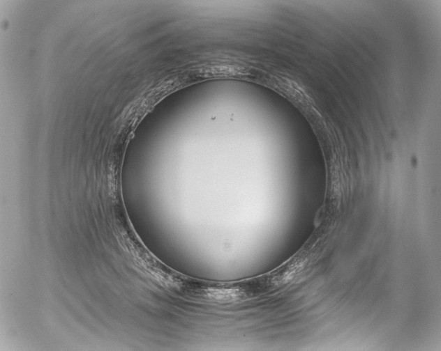 X0000052550457200507221455