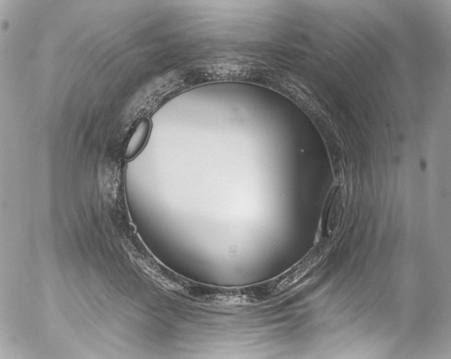 X0000052550458200507221455