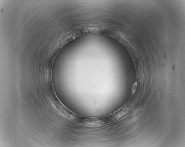 X0000052550459200507221455