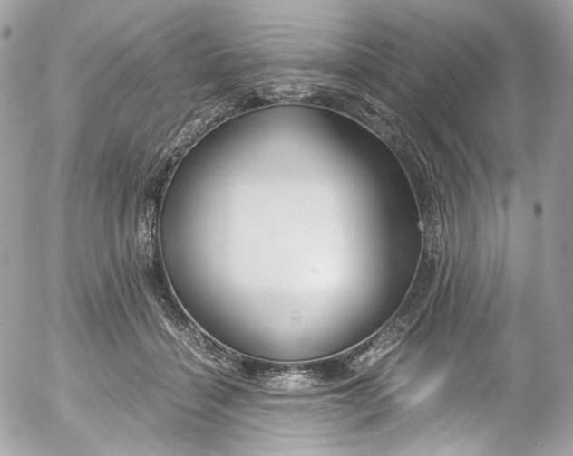 X0000052550460200507221455