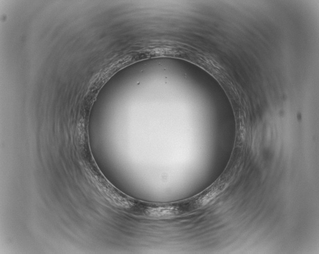 X0000052550461200507221455