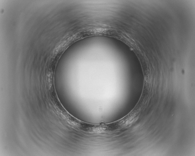 X0000052550462200507221455