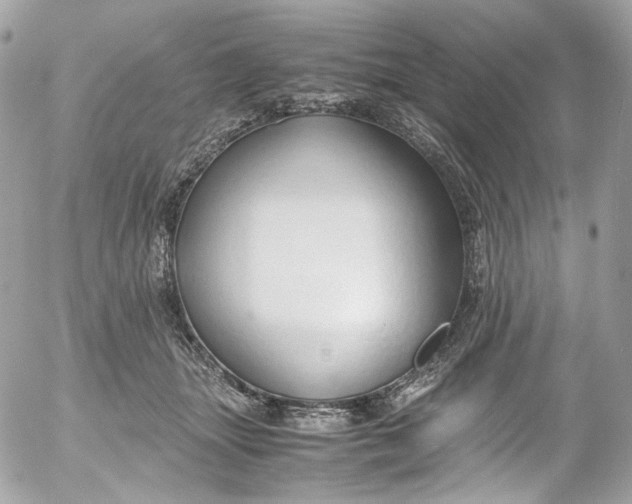 X0000052550463200507221455