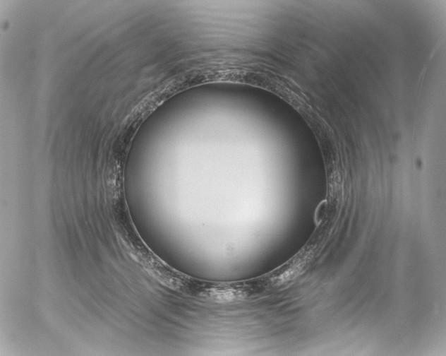 X0000052550464200507221455