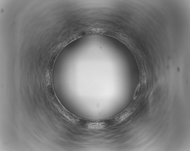 X0000052550465200507221455