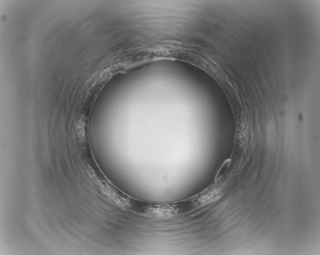 X0000052550466200507221455