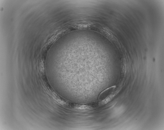 X0000052550467200507221455