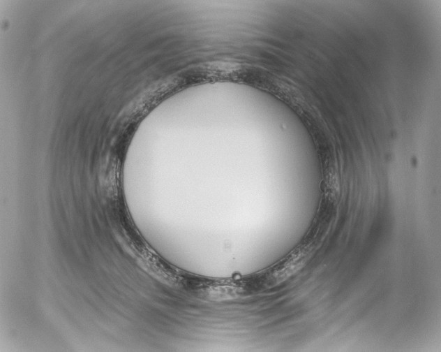 X0000052550468200507221455