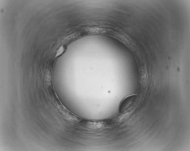 X0000052550469200507221455