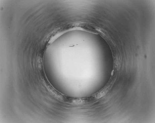 X0000052550470200507221455