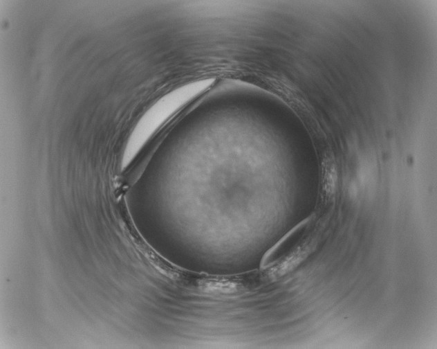 X0000052550471200507221455