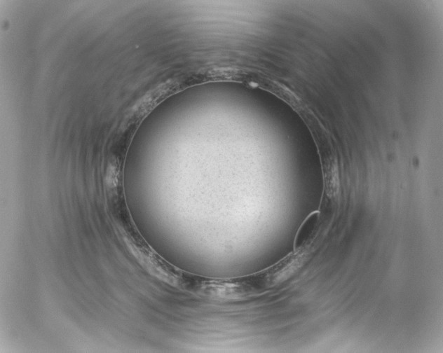 X0000052550472200507221455