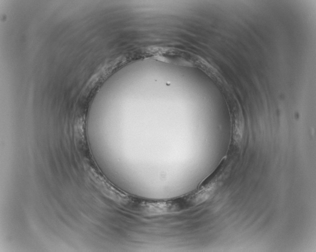 X0000052550473200507221455