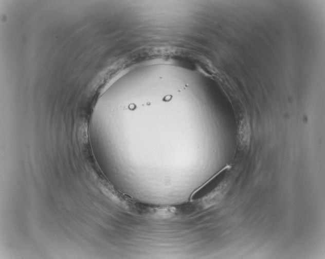 X0000052550474200507221455