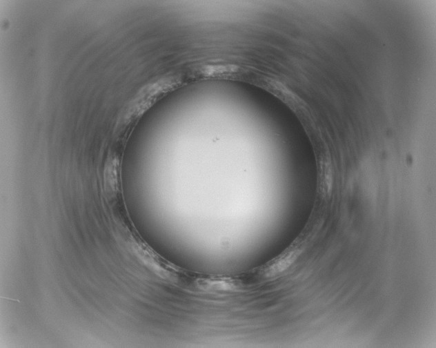 X0000052550475200507221455