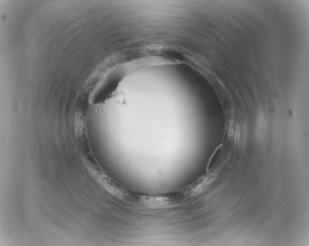 X0000052550476200507221455