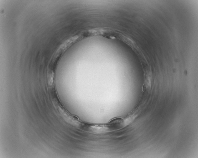 X0000052550477200507221455