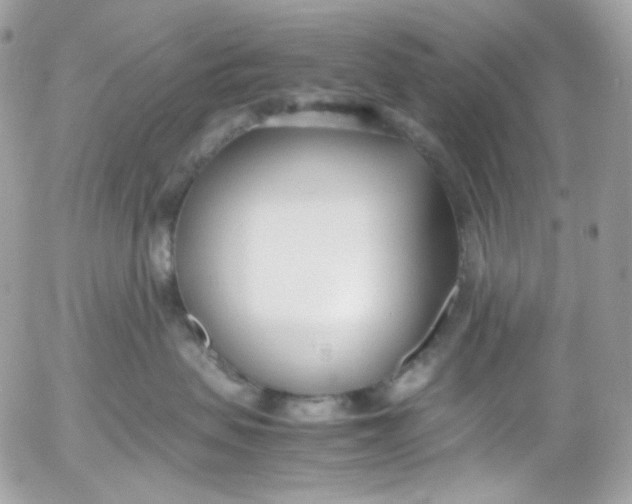 X0000052550479200507221455